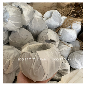 HOT NEW SALE NATURAL COCONUT SHELL POT/ COCONUT PLANTING POT/ COCONUT SHELL POT WITH LOGO CUSTOMIZED FROM ECO2GO VIET NAM - Product Image 2