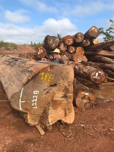 Troncos Ipe Madera Ipe Troncos Ipe en Venta - Product Image 4