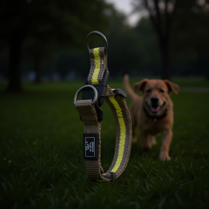 Collare per Animali Domestici Bicolore con Strisce Riflettenti per Passeggiate all'Aperto e Visibilità - Product Image 3