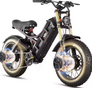 Bici Elettrica da Montagna Popolare, Ultima Novità, 2500W, 40MPH, Doppio Motore, 52V 60AH, Lunga Autonomia, Pneumatici Fat - Product Image 1