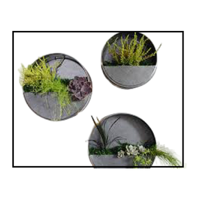 Maceta colgante de forma redonda galvanizada para interiores moderna, maceta redonda de Metal para pared de plantas para decoración del hogar con acabado oxidado - Product Image 3