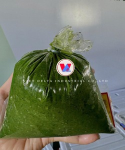 Pasta de Hoja de Yuca Congelada VDELTA Vietnam |   Suministro a Granel |   Listo para Exportar - Product Image 5