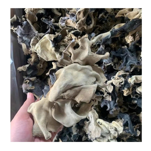 เห็ดหูหนูไม้แห้งแบบพรีเมี่ยมสำหรับปรุงอาหารซอสอาหารเอเชียและอาหารแบบดั้งเดิม - Product Image 3