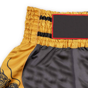 Conception personnalisée de haute qualité imprimé Kick Boxing hommes Muay Thai short de combat masculin broderie sport avec impression pour garçons - Product Image 5