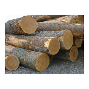 Grumes de chêne rouge américain abordables offertes en volume pour les gros acheteurs - Product Image 3