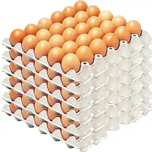 Intera vendita di uova da tavola di pollo fresche biologiche dal fornitore rinomato