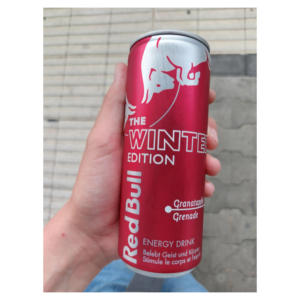 Para Red Bull Winter Edition 250ml Energy Drink Low-Carb y sin azúcar Carbonato a granel empaquetado al por mayor Redbull en venta - Product Image 5