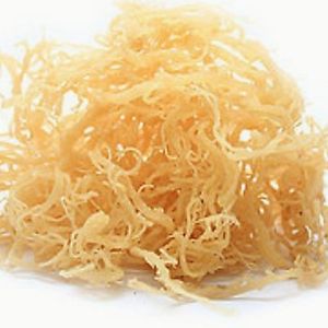 สาหร่าย euchema cottonii มอสทะเลแห้งเครื่องกำจัดสาหร่ายสีทอง - Product Image 3