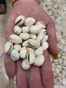 Premium Roasted <b>Pistachio</b> <b>Nuts</b> In Shell And Kernels Wholesale Bulk Supply Factory Direct Export Quality - Ms. Tarina - Product Image 3