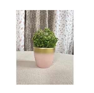 Macetas Cuadradas de Barro Indio de Primera Calidad Hechas a Mano con Platillos para Plantas de Jardín y Suculentas - Product Image 3