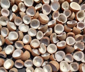 FOURNISSEUR DE COQUILLE DE COCO SÉCHÉE DE QUALITÉ D'EXPORTATION - Product Image 2