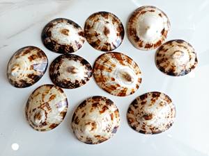 เปลือกมะนาวสีสันสดใสสำหรับคุณแม่ของขวัญที่เป็นมิตรกับสิ่งแวดล้อม - Product Image 5