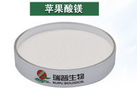 Haute qualité 99% poudre de malate de magnésium de qualité alimentaire fortifiant nutritif soutien énergétique agents aromatisants 25kg approvisionnement en vrac CAS
