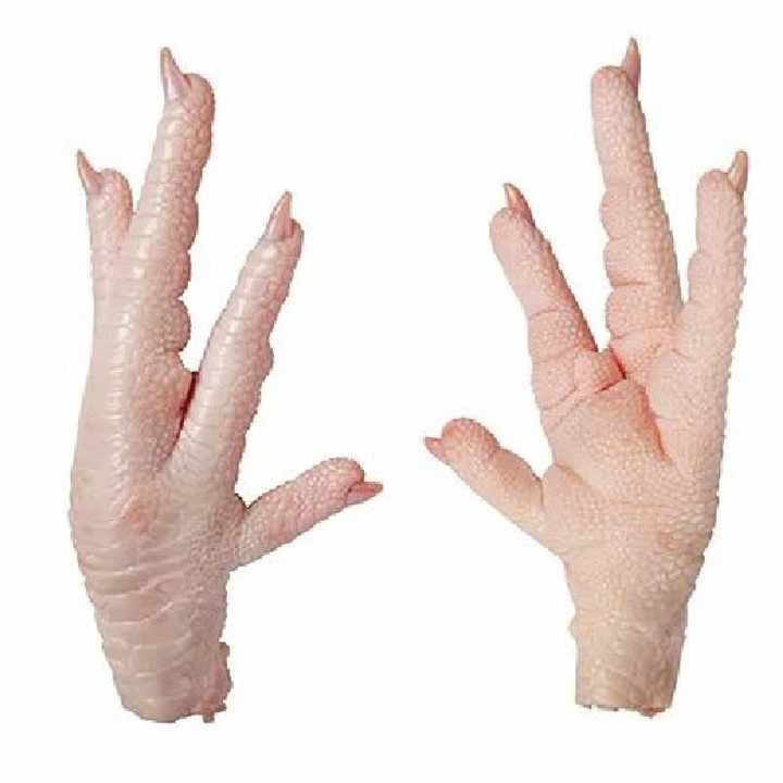 Chicken Paws Brazil and Fresh Chicken Paws for Sale
