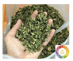 Feuilles de papaye séchées naturelles pures de haute qualité PapayaTea Feuilles de papaye séchées naturelles abordables des fermes du Vietnam en vrac - Product Image 4