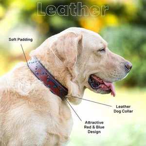 Collar de Perro de Lujo Elegante de PU Sólido Premium con Ajuste Ajustable de Liberación Rápida, Acolchado Duradero, Personalizado, Hecho en India - Product Image 3