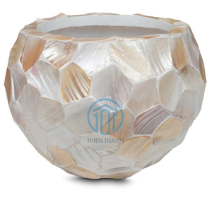 Recién llegado, maceta de nácar hecha a mano natural y maceta hecha en Vietnam, mayorista, superventas para decoración de jardín - Product Image 6