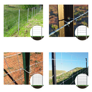 Poteau de clôture Y / T en acier de haute qualité, galvanisé à chaud, poteau de clôture de ferme mentale, poteaux de clôture en acier utilisés à vendre - Product Image 3