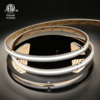 Tira de LED Flexible Raymates AC220 de Alto Voltaje, Certificada por ETL, 50 Metros, Enchufe Estadounidense, 5000k, FCOB, CRI 90, IP67