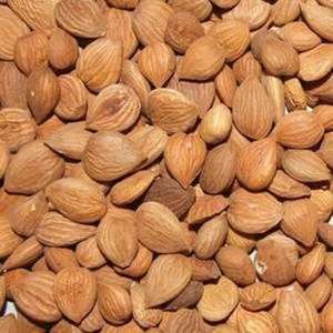 Almendras Orgánicas Secas al por Mayor, Empaque a Granel, Mejor Calidad, Procesadas al Horno, Sabor Salado, Almendras para Adultos, Precio Económico - Product Image 3