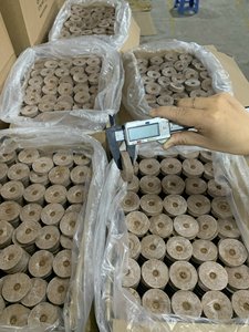 Eco2go Vietnam Blocs de Fibres de Coco Biodégradables à Haute Rétention d'Eau Prêts à l'Emploi Légers pour la Propagation des Plantes et des Semences - Product Image 5