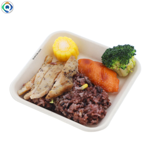 Plateau biodégradable en canne à sucre carré de 7 pouces personnalisable, vente chaude, écologique, élégant, pour servir des aliments, bar à domicile, hôtel, achat en gros - Product Image 4