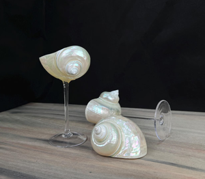 Verre à vin à base de coquillage conçu pour les dégustations de vin et les restaurants à thème nautique - Product Image 3