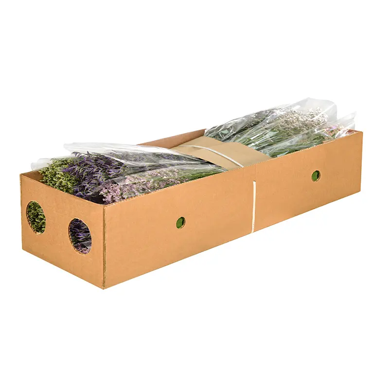 Premium Kenyan Vers Gesneden Limonium Gemengde Doos 3 + Kleuren Voor Detailhandel En Groothandel Verse Snijbloemen 62Cm Lengte