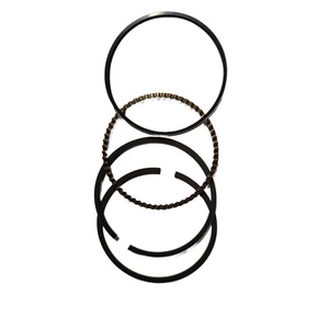 Set di Segmenti per Parti di Motori Industriali Compatibile con Sr1P65F Rif. 974568 - Product Image 1