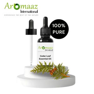 Huile de Thuya à base de feuilles de cèdre pur |   Huile essentielle de cèdre blanc du Nord (Arborvitae orientale) |   100% naturel, distillé à la vapeur, certifié GMP - Product Image 5