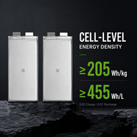 Cellule de batterie semi-solide NMC Cathode Pouch DEFNOCO 3.8V 30000mAh 10C pour pack de batteries UAV basse température OEM