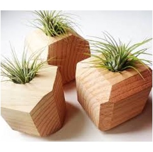 Attractive Modern Wood Planter Design Eco-Friendly Handmade Wooden Flower <b>Vase</b> <b>Small</b> Size Tabletop Decor for Christmas Best - Product Image 1