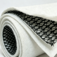 Géogrille de drainage composite 3D en PEHD, réseau de drainage tridimensionnel pour les travaux d'ingénierie des décharges, des routes et des voies ferrées