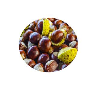 Châtaignes Séchées Biologiques Fortes Grade A1 Douces Pelées Certifiées Casher Brutes Carton de 10kg - Product Image 2