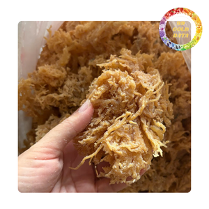 Wholesale Natural <b>Dried</b> Sea <b>Moss</b> | Delicious Seaweed From Viet Nam /High Quality Irish Sea <b>Moss</b> - Product Image 4