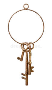 Porte-clés de l'armée en acier inoxydable plaqué or de qualité supérieure, porte-clés pendentif, graveur, Logo personnalisé, étiquettes militaires, porte-clés - Product Image 3