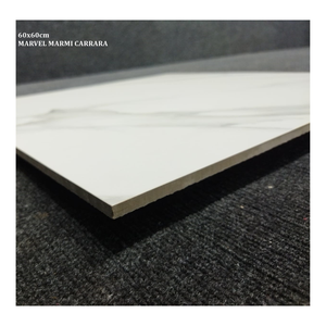 Carreaux de sol et de mur en porcelaine vitrifiée aspect marbre blanc Marvel Marmi Carrara 60x60cm, qualité d'exportation premium en provenance d'Inde - Product Image 1