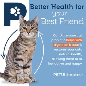 OEM ODM Door dierenartsen aanbevolen probiotica poeder Darmgezondheid Immuunversterker Spijsverteringsgezondheid Glanzende vacht ondersteuning Graanvrij Hoog eiwitgehalte - Product Image 5