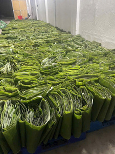 ใบกล้วยแช่แข็งคุณภาพสูงสำหรับโครงการศิลปะ - Product Image 3