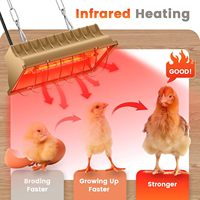 175W-250W poulet couveuse plaque chauffante poulailler chauffage lampe chauffante pour poussins bétail suspendu chauffé
