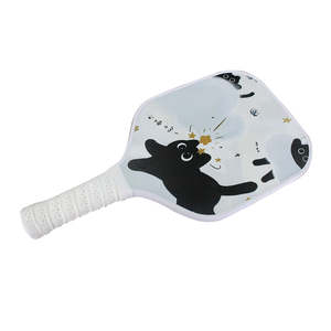 Raqueta de Pickleball Alargada de Alta Calidad para Adolescentes y Adultos - Núcleo de Panal Ligero, Duradero y Personalizable para Entrenamiento - Product Image 1