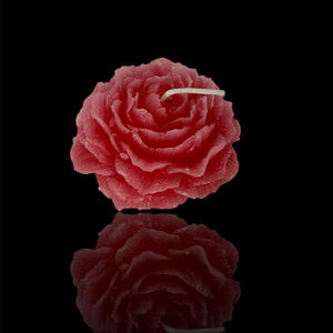 Vela perfumada a granel de etiqueta privada personalizada, fabricante de velas OEM/ODM hechas a mano para ocasiones de Diwali y Pascua - Product Image 1