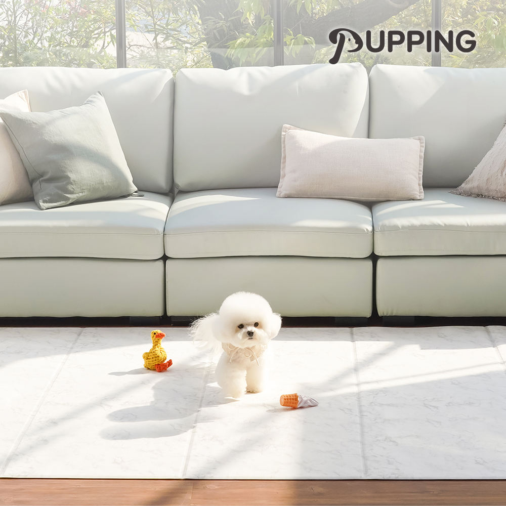 หินอ่อน