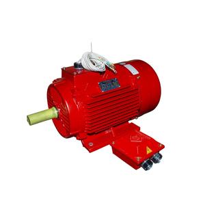 Triphasé anti-goutte IP55 IP56 boîtier en fonte noyau de cuivre moteur électrique moteur électrique à courant alternatif moteur asynchrone - Product Image 1