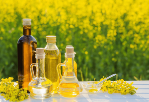 Aceite de semilla de canola puro 100% Aceite de semilla de canola al por mayor Aceite de semilla de canola puro natural - Product Image 2