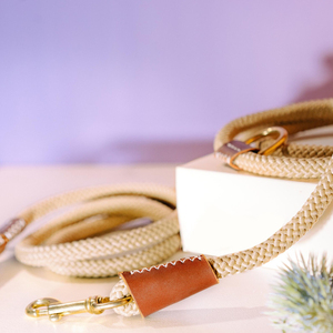 Laisse de chien mains libres imperméable à l'eau Style de dessin animé moderne lavable et durable emballé dans un carton - Product Image 5