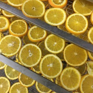 NARANJA DESHIDRATADA DE VIETNAM | COLOR Y SABOR NATURAL - Product Image 6