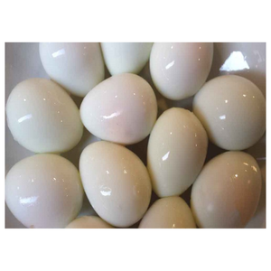 HUEVO DE CODORNIZ EN CONSERVA DE EXPORTACIÓN SUPERIOR DE PROVEEDOR VIETNAMITA CON PRECIO BARATO - Product Image 1