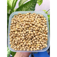 Soja canadien biologique pur de haute qualité emballé en vrac fèves de soja séchées en vente au prix de gros bon marché
