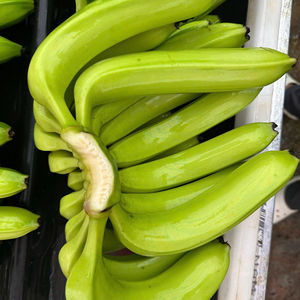 Bananas Cavendish de alta calidad cultivadas en Vietnam, sabor cremoso dulce y piel limpia envasadas para exportación y uso en supermercados - Product Image 1